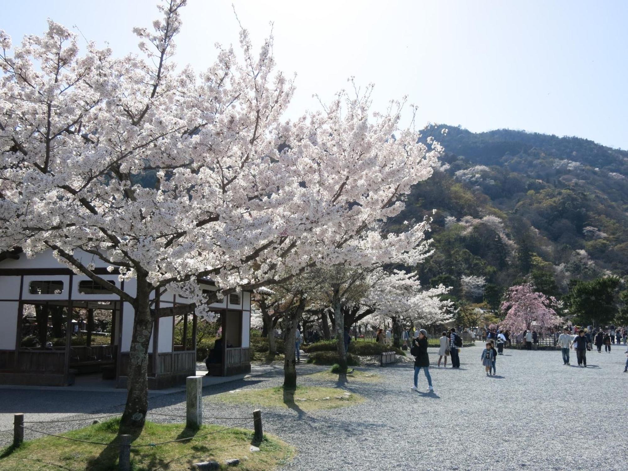 The Grandwest Arashiyama Apart otel Kyoto Dış mekan fotoğraf